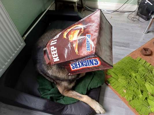 Freddys Kummerkasten-Beitrag-Bild