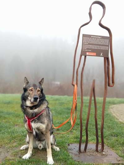 Freddys Kummerkasten-Beitrag-Bild