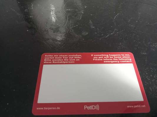 Hundemarken mit QR Code - Erfahrungsaustausch-Beitrag-Bild