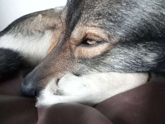 Freddys Kummerkasten-Beitrag-Bild