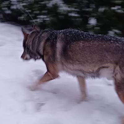 Freddys Kummerkasten-Beitrag-Bild