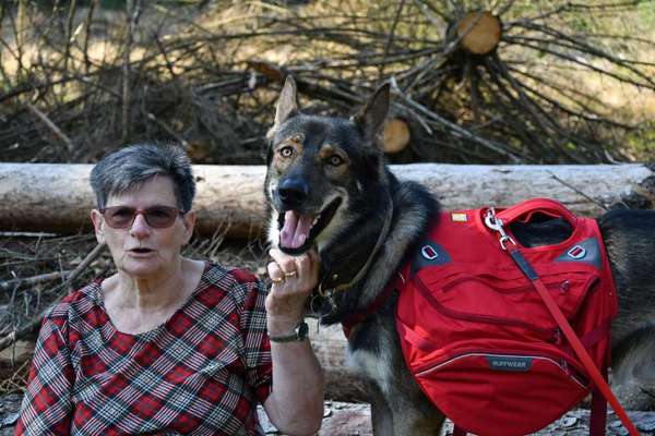 Wandergeschirr für Hunde-Beitrag-Bild