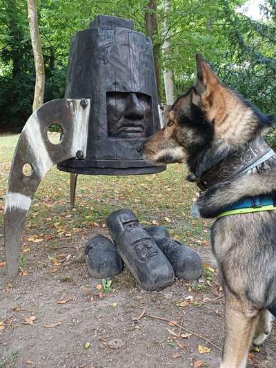 Freddys Kummerkasten-Beitrag-Bild