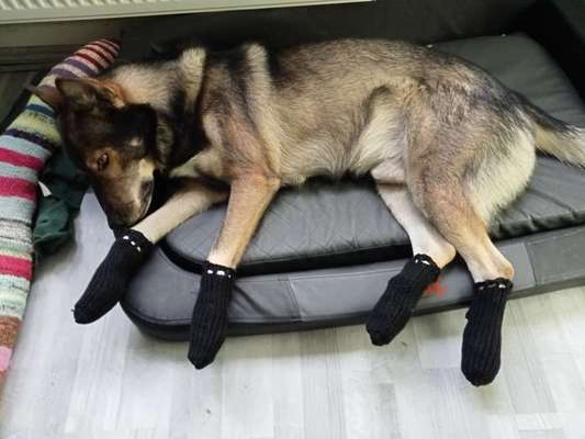 Freddys Kummerkasten-Beitrag-Bild