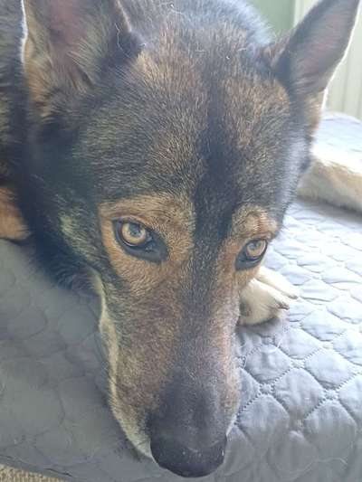 Freddys Kummerkasten-Beitrag-Bild