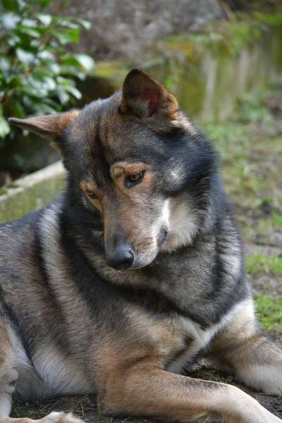 Austausch zur Fotografie-Beitrag-Bild