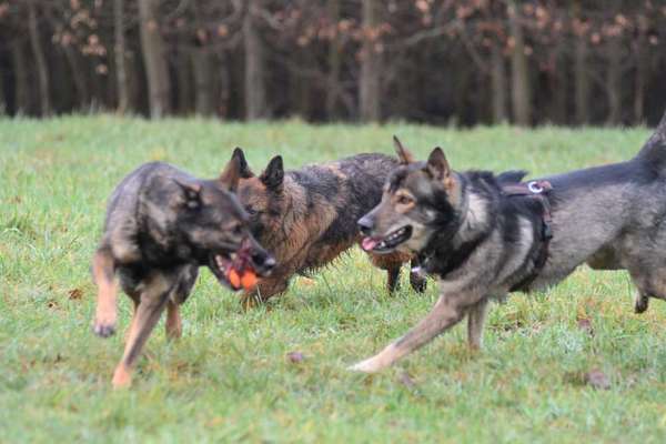Tolle Begegnungen-Beitrag-Bild