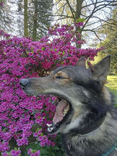 Freddys Kummerkasten-Beitrag-Bild