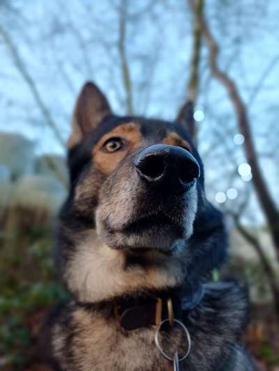 Freddys Kummerkasten-Beitrag-Bild