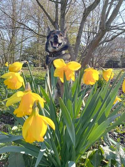 Freddys Kummerkasten-Beitrag-Bild