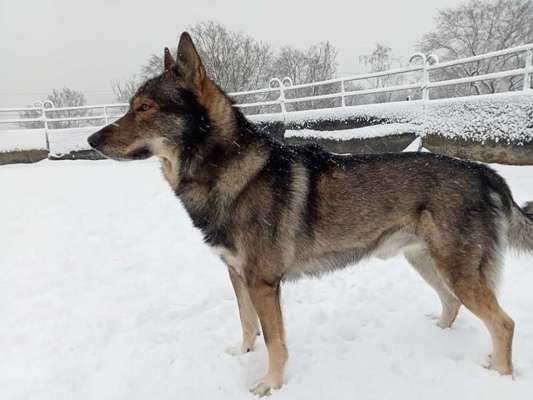 Freddys Kummerkasten-Beitrag-Bild