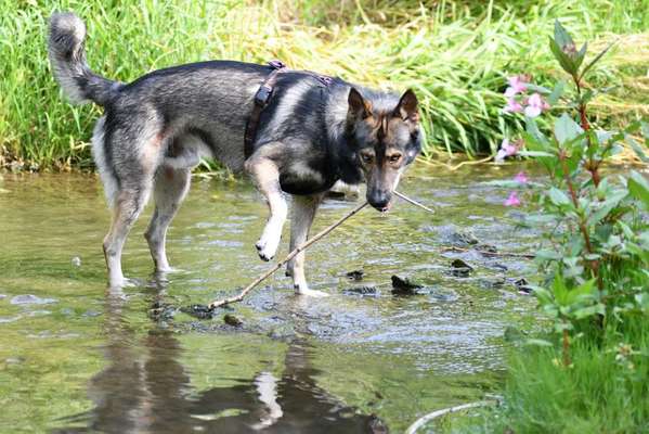 Fotochallenge 78

Es grünt und blüht-Beitrag-Bild