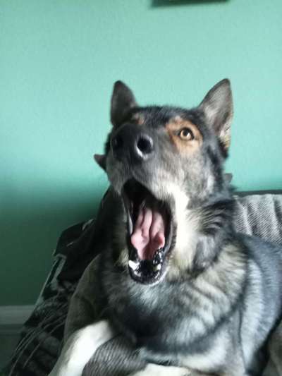 Freddys Kummerkasten-Beitrag-Bild