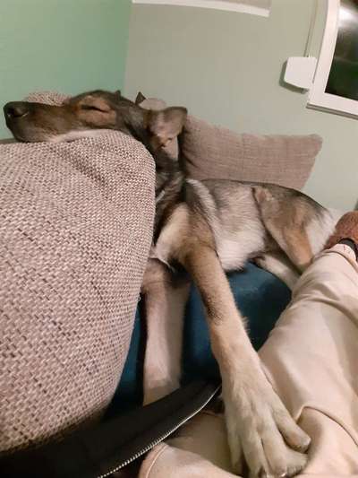 Ab-gehangen-Beitrag-Bild