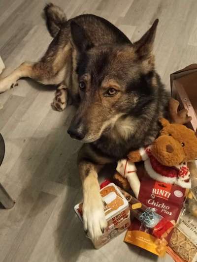 Freddys Kummerkasten-Beitrag-Bild