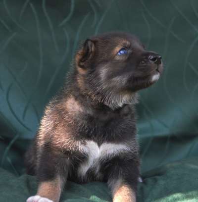 Foto Challenge 82-Beitrag-Bild