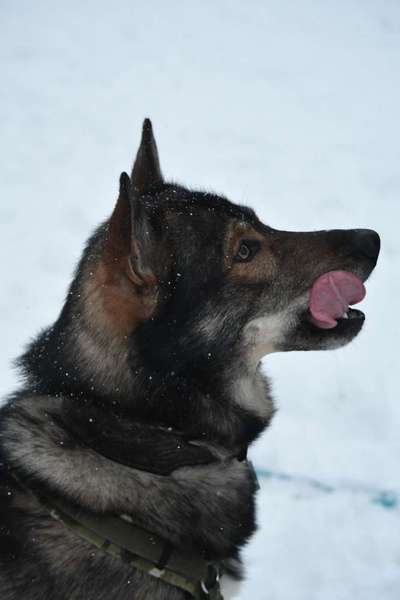 Freddys Kummerkasten-Beitrag-Bild