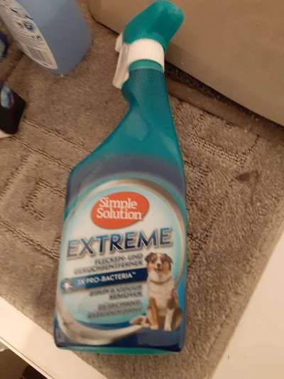 Uringeruch auf Fliesen-Beitrag-Bild