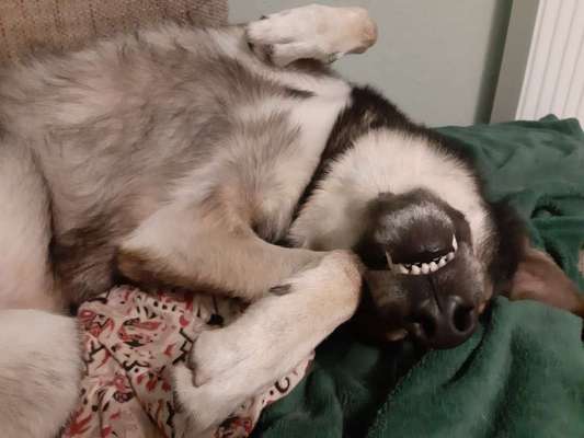 Ab-gehangen-Beitrag-Bild