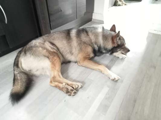 Freddys Kummerkasten-Beitrag-Bild