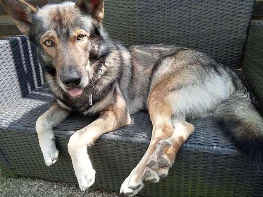 Freddys Kummerkasten-Beitrag-Bild