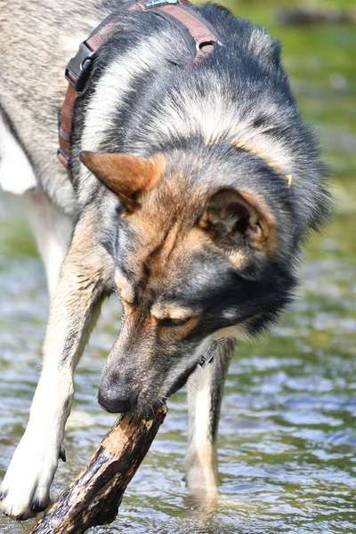 Foto Challenge - BEENDET - bitte aktuelle Challenge nutzen-Beitrag-Bild