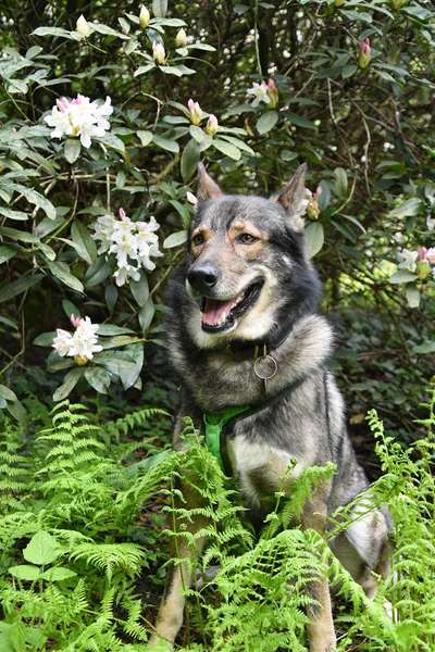 Freddys Kummerkasten-Beitrag-Bild