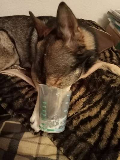 Freddys Kummerkasten-Beitrag-Bild