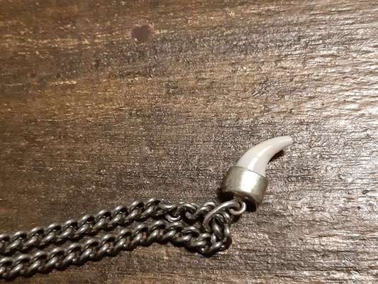 Jemand nette Idee für Milchzähnchen?-Beitrag-Bild