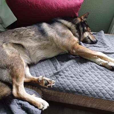 Freddys Kummerkasten-Beitrag-Bild