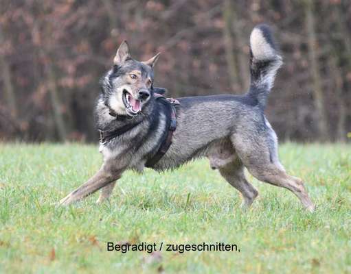 Austausch zur Fotografie-Beitrag-Bild