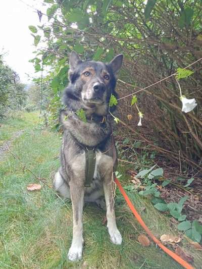 Freddys Kummerkasten-Beitrag-Bild