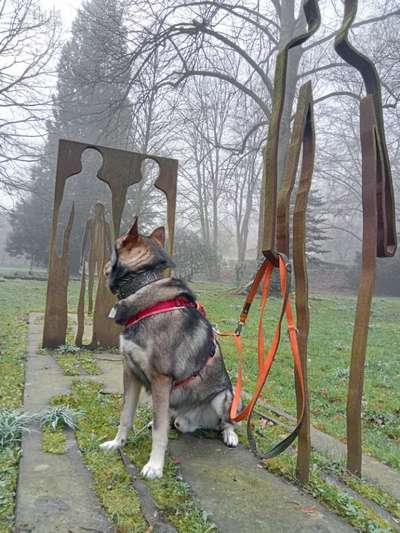 Freddys Kummerkasten-Beitrag-Bild