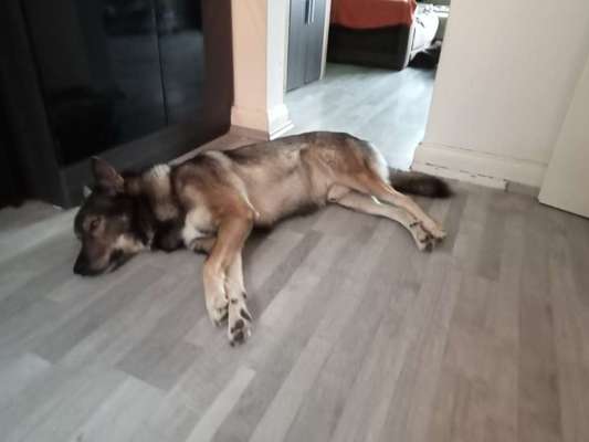 Freddys Kummerkasten-Beitrag-Bild