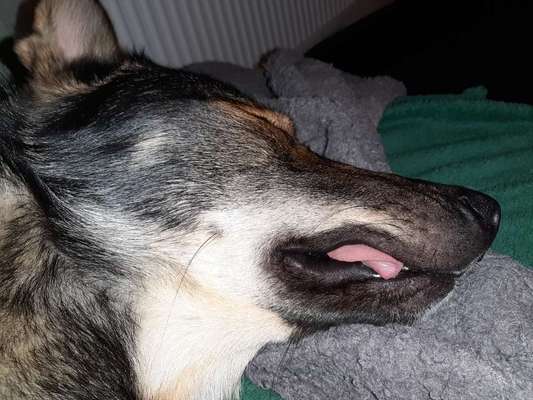 Her mit dem Grimassen-Beitrag-Bild