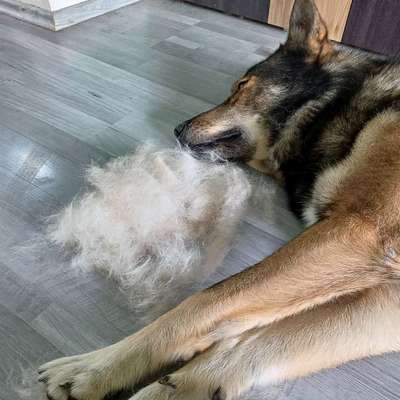 Freddys Kummerkasten-Beitrag-Bild