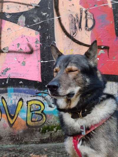 Freddys Kummerkasten-Beitrag-Bild