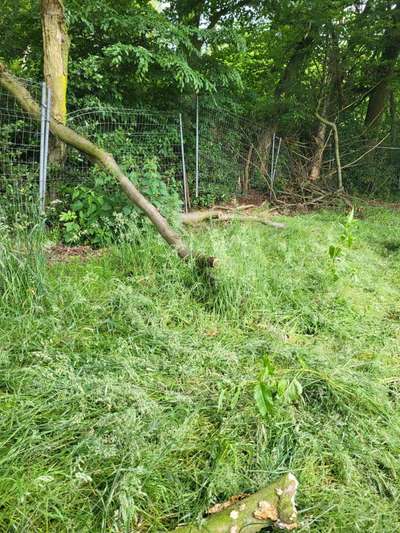 Freddys Kummerkasten-Beitrag-Bild