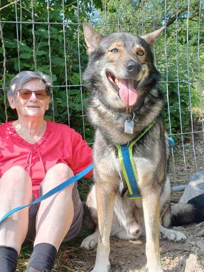 Freddys Kummerkasten-Beitrag-Bild