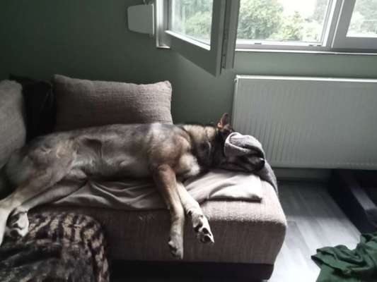 Freddys Kummerkasten-Beitrag-Bild