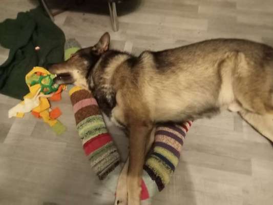 Freddys Kummerkasten-Beitrag-Bild