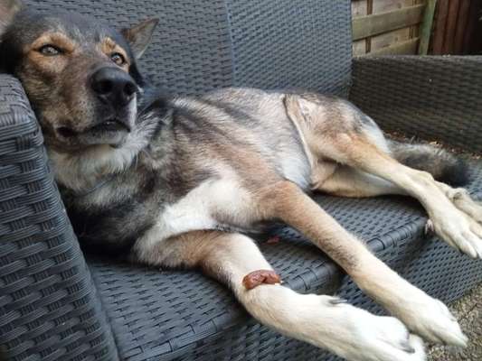 Freddys Kummerkasten-Beitrag-Bild