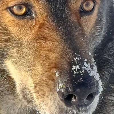 Freddys Kummerkasten-Beitrag-Bild