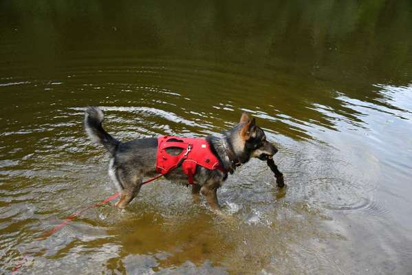 Ruffwear Frontrange Rucksack-Beitrag-Bild