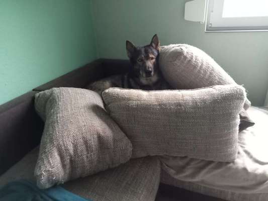 Freddys Kummerkasten-Beitrag-Bild