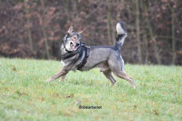 Austausch zur Fotografie-Beitrag-Bild