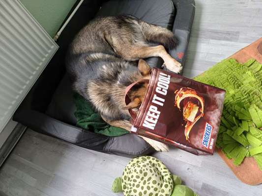 Freddys Kummerkasten-Beitrag-Bild