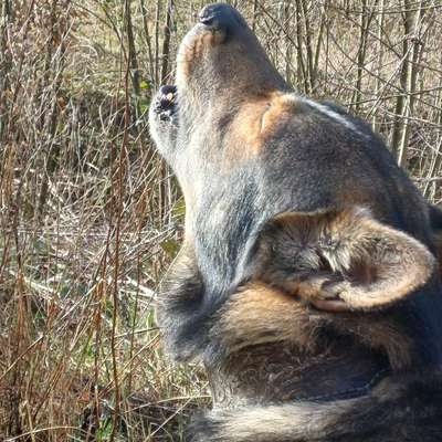 Was hat euch heute gefreut?-Beitrag-Bild