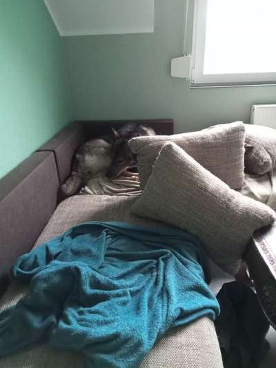 Freddys Kummerkasten-Beitrag-Bild