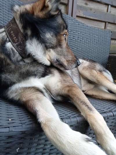 Freddys Kummerkasten-Beitrag-Bild